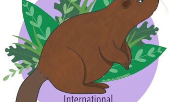 Happy International Beaver Day: 04/07/2023