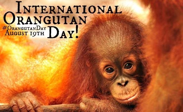 International Orangutan Day 2023: 08/19/2023