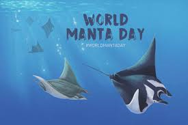 World Manta Day: 09/17/2023