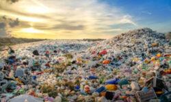 Microplastics and Nanoplastics: What’s the Difference? (03/14/2024)